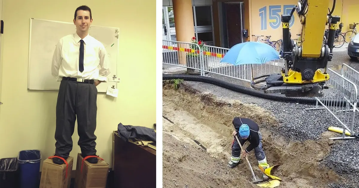 20 Escenas de compañeros en el trabajo que hicieron reír a todo el mundo