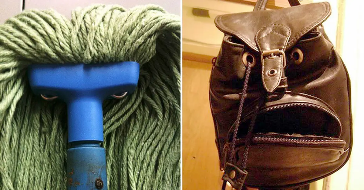22 Objetos cotidianos que querrás saber cómo se sienten ¡Menudas caras!