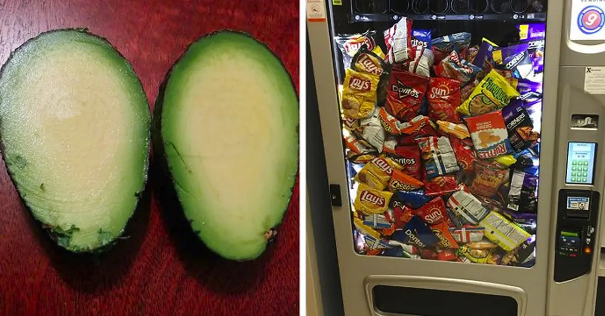 20 Personas que ganaron la lotería de la comida demostrando que el dinero puede comprar la felicidad