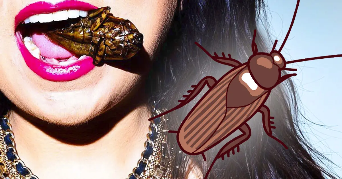 3 Razones por las que la leche de cucaracha es el nuevo superalimento del futuro que podría sustituir a la de vaca