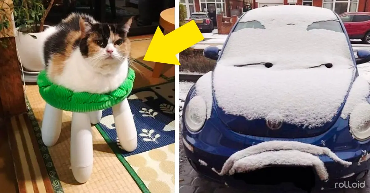 20 Fotos tan afortunadas que sería imposible repetirlas