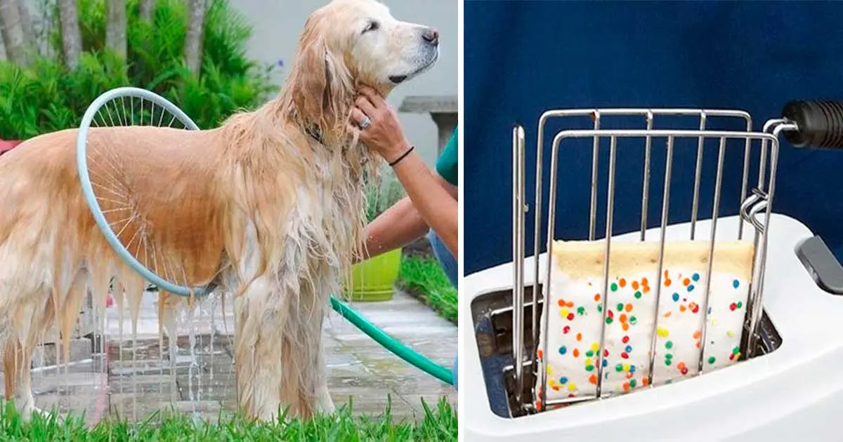 22 regalos que vas a desear que te hagan este año