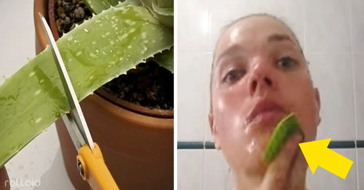 Aplícate un poco de Aloe Vera todos los días y espera a ver lo que ocurre en sólo una semana