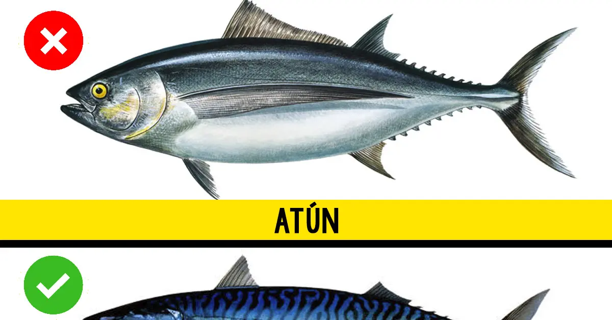 8 pescados que conviene comer con moderación (y por qué)