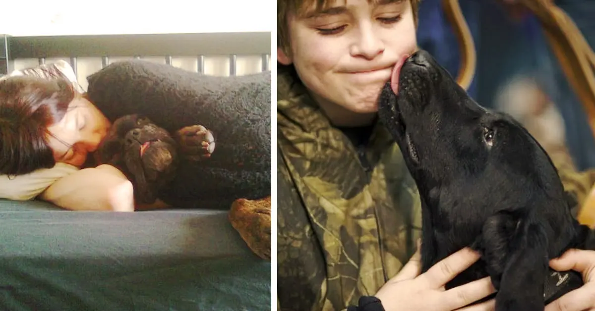 9 gestos con los que tu perro te está diciendo (a su manera) que te adora
