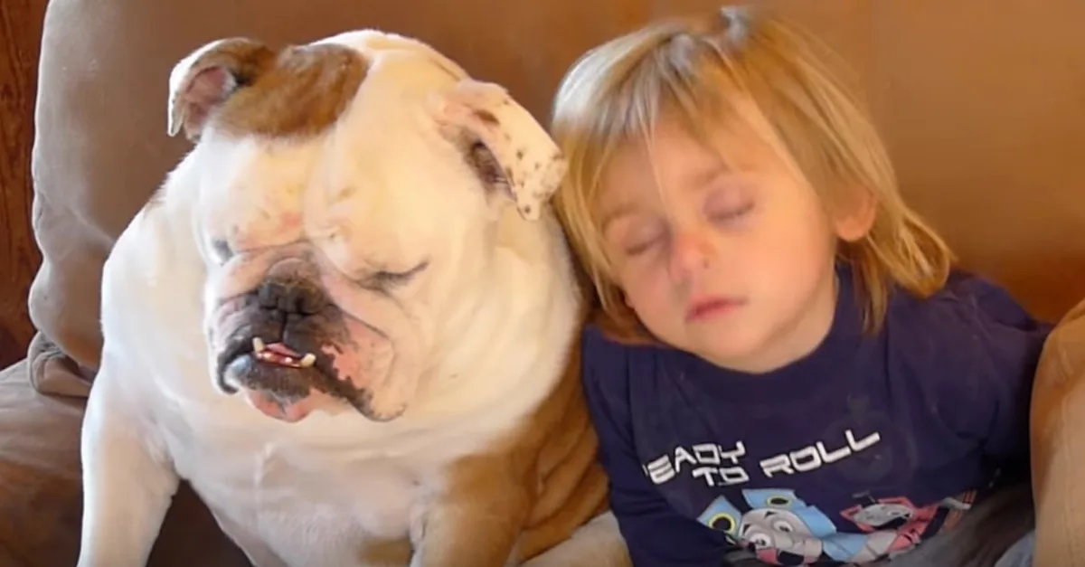 Una madre sorprende a su hijo y a sus perros durmiendo la siesta en pleno día
