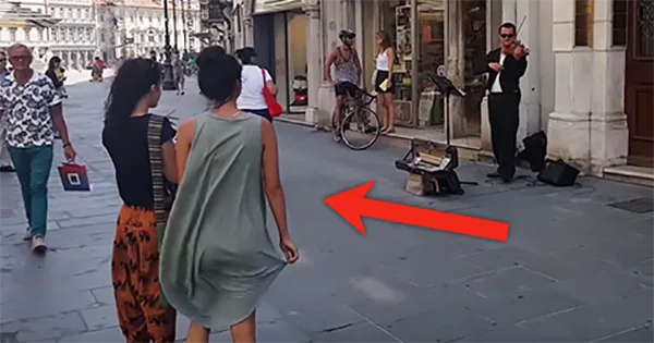 Un violinista callejero en Italia y una turista se roban el show con un baile improvisado