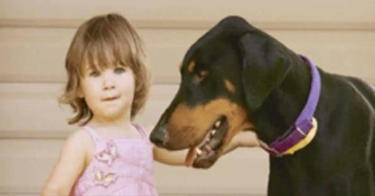 Un Doberman rescatado deja a unos padres aterrados al arrastrar bruscamente a su hija por el jardín