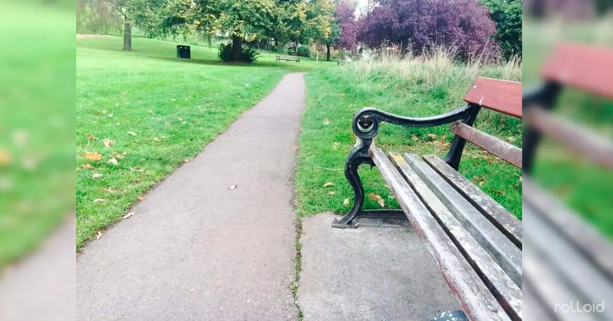 Se hace viral la foto de un parque que esconde a un perro travieso: ¿lo encuentras tú?