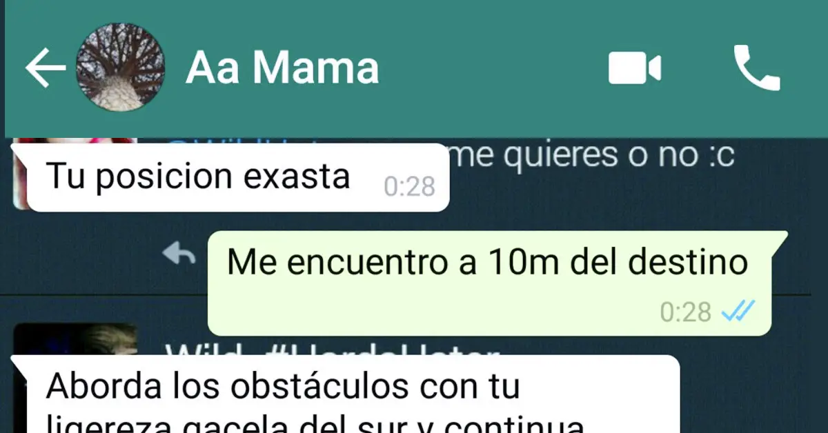«¿Necesito ir a rescatarte?»: la conversación de una madre y su hija que ha enamorado a internet